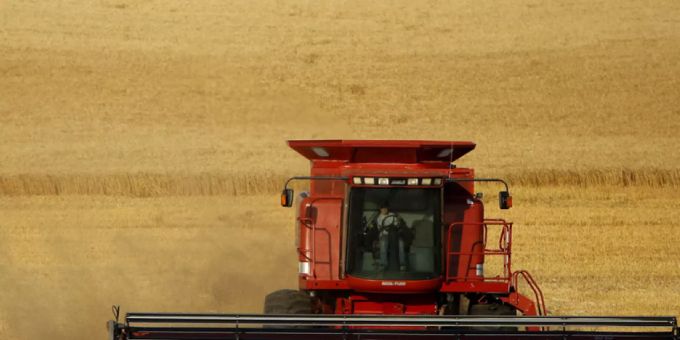 Weizen, Reis und Mais liefern die Hälfte der pflanzlichen Kalorien im heutigen Nahrungssystem. In den Supermarkt kommt nur ein Bruchteil dessen, was die Natur an Essbarem zu bieten hätte - und was dereinst auch gegessen wurde. (Symboldbild) Weizen, Reis und Mais liefern die Hälfte der pflanzlichen Kalorien im heutigen Nahrungssystem. In den Supermarkt kommt nur ein Bruchteil dessen, was die Natur an Essbarem zu bieten hätte - und was dereinst auch gegessen wurde. (Symboldbild)