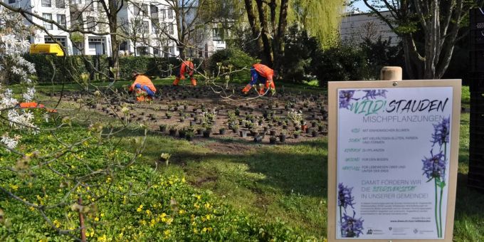 Wildstauden-Mischpflanzungen für mehr Biodiversität in Cham. Wildstauden