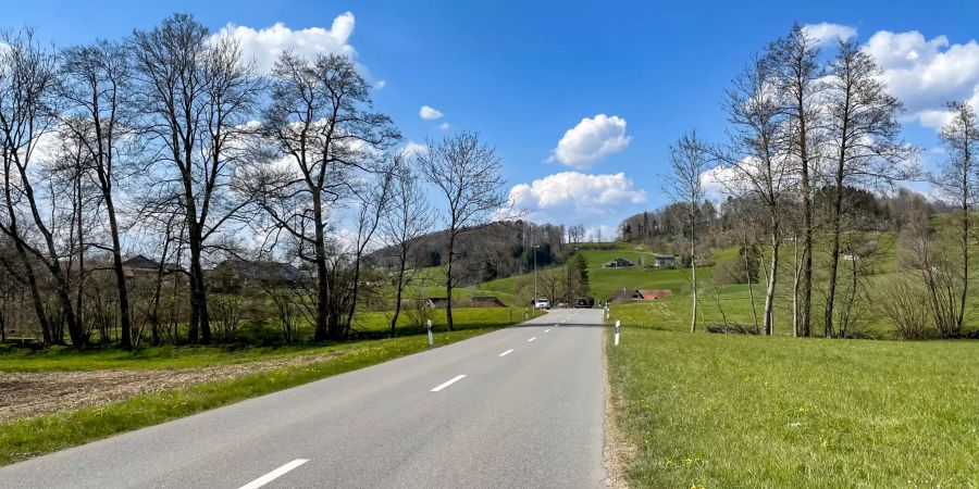 Landschaftsfoto Rifferswil.