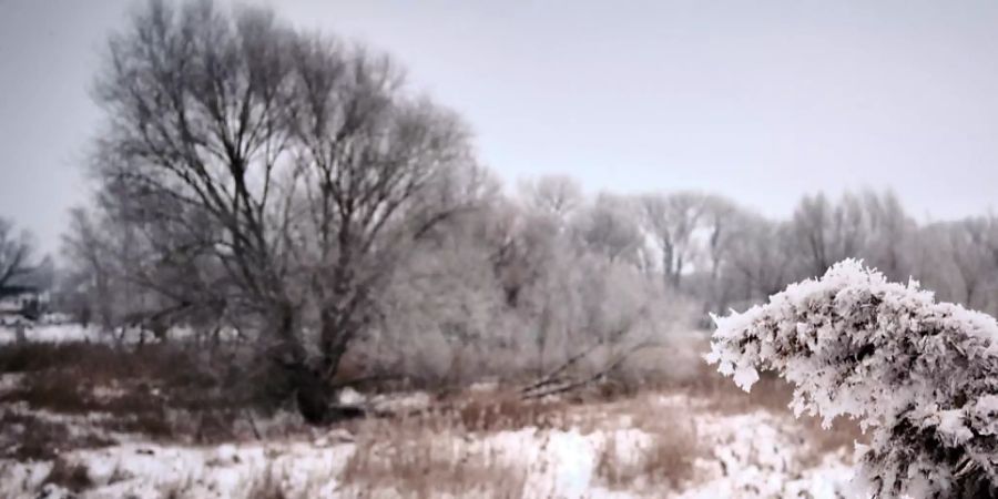 Der Winter meldet sich heute Dienstag und in den kommenden Tagen mit klirrender Kälte und Schneefall bis in tiefe Lagen zurück. (Archivbild)