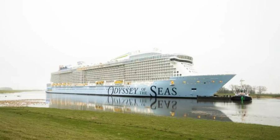 Die "Odyssey of the Seas" auf dem Weg Richtung Nordsee. Foto: Mohssen Assanimoghaddam/dpa