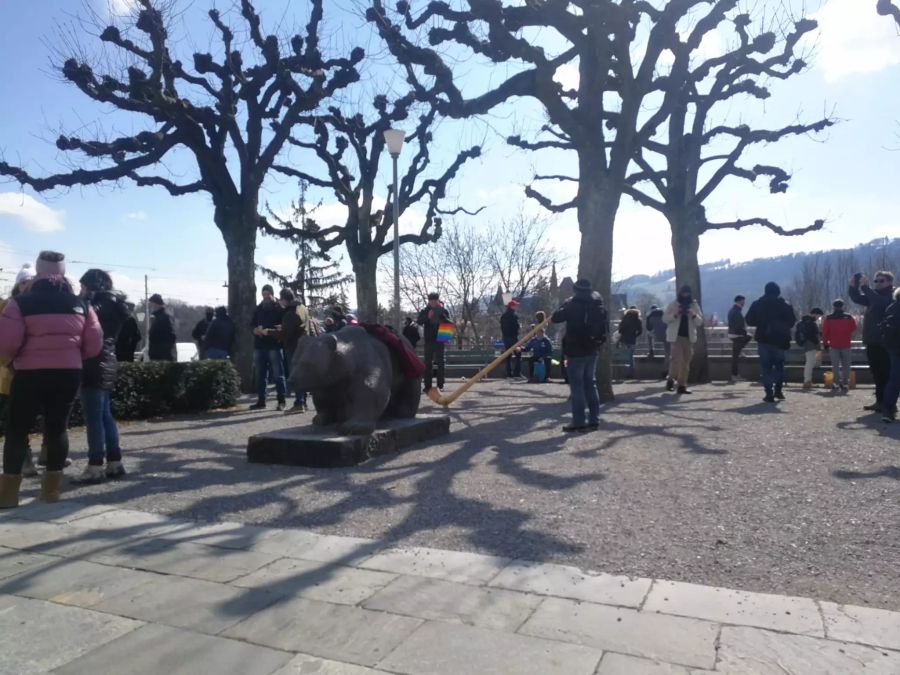 Ein Demonstrant hatte sogar sein Alphorn nach Bern mitgenommen.