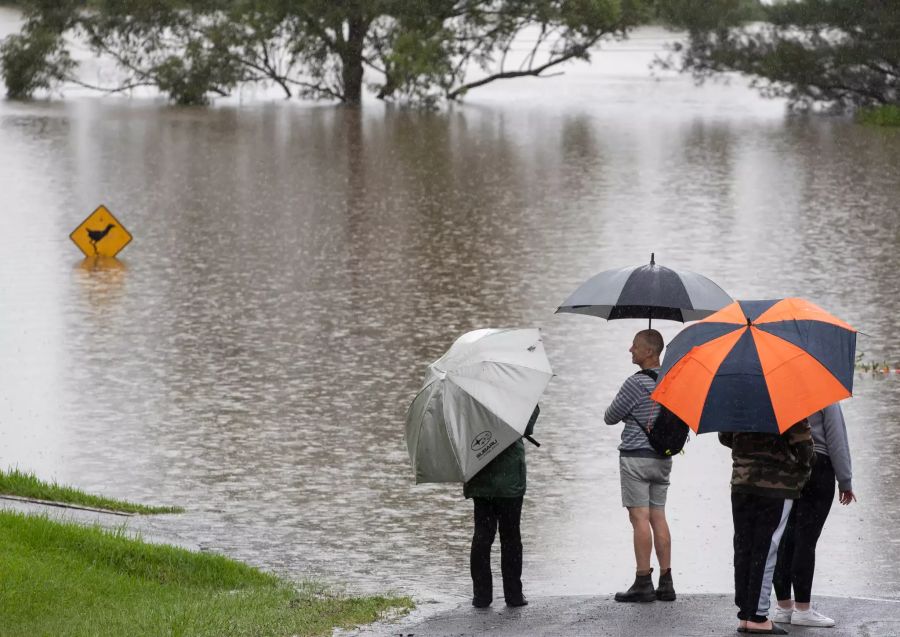 Vier Leute mit Regenschirmen schauen in die unter Wasser stehende Landschaft.