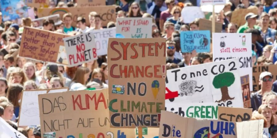 Demo von Fridays for Future
