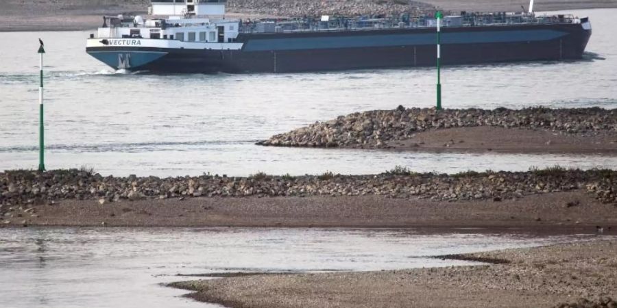 Rhein