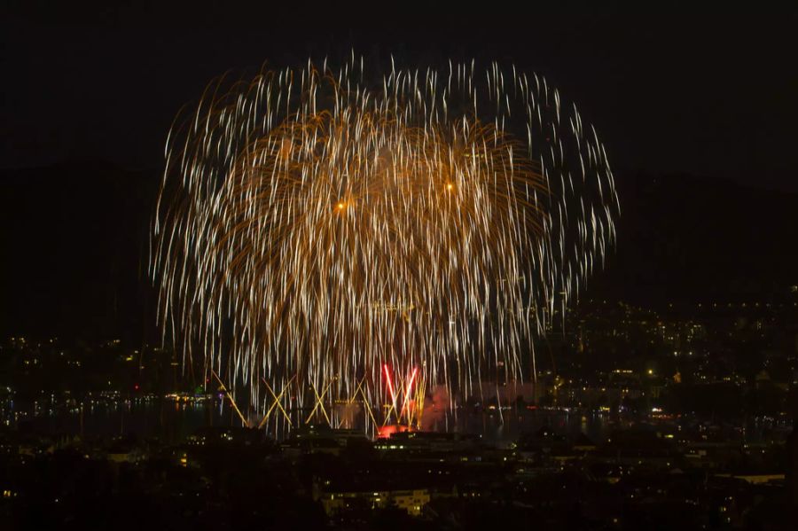 Feuerwerk über Zürich