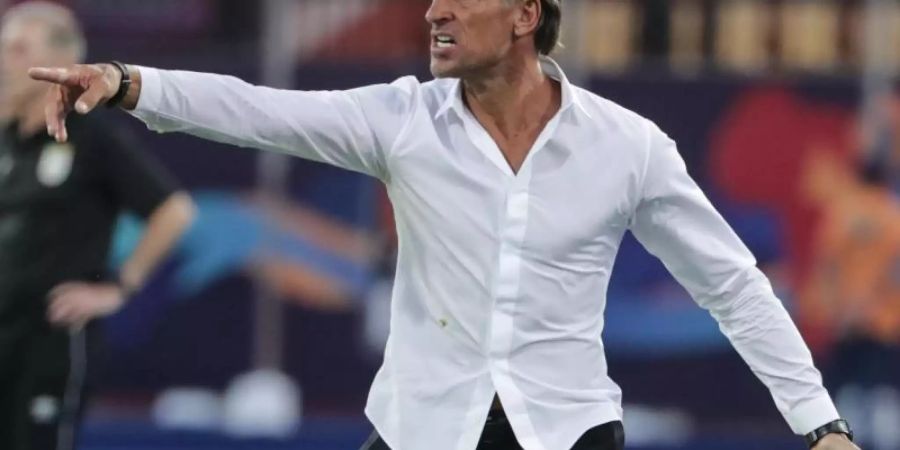 Hervé Renard war seit Februar 2016 Nationaltrainer von Marokko. Foto: Oliver Weiken