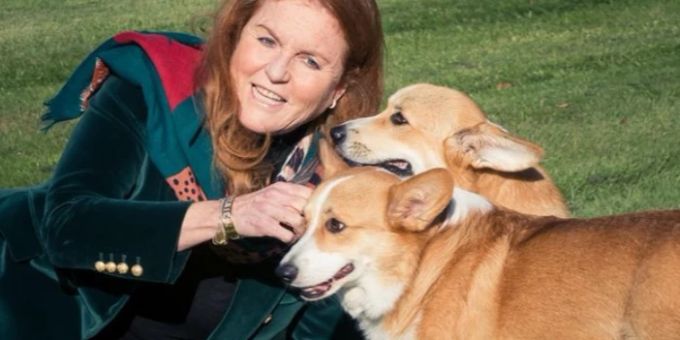 Zum Geburi - Prinz Andrews Ex-Frau posiert mit Queen-Hunden