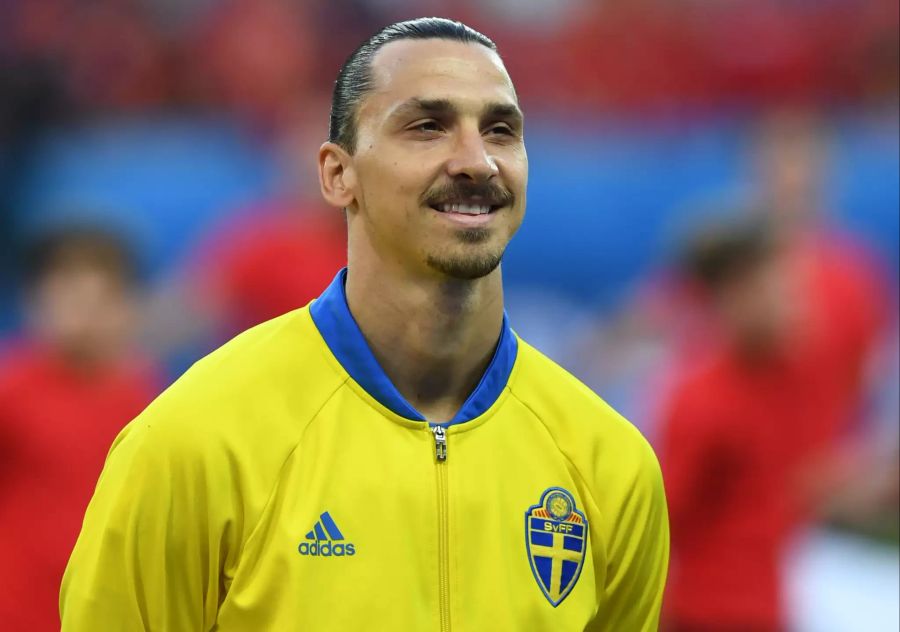 Gibt's für die Italiener ein Wiedersehen mit den Schweden rund um Zlatan Ibrahimovic?