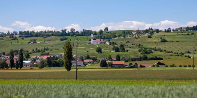 Aussicht über die Gemeinde Hallau. Aussicht über die Gemeinde Hallau.