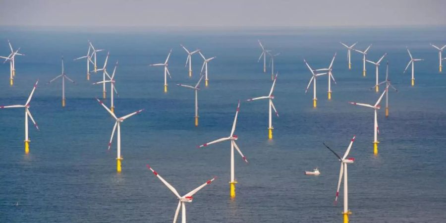 Der Offshore-Windpark «Butendiek», etwa 30 Kilometer vor der Insel Sylt in der Nordsee. Foto: Daniel Reinhardt/dpa