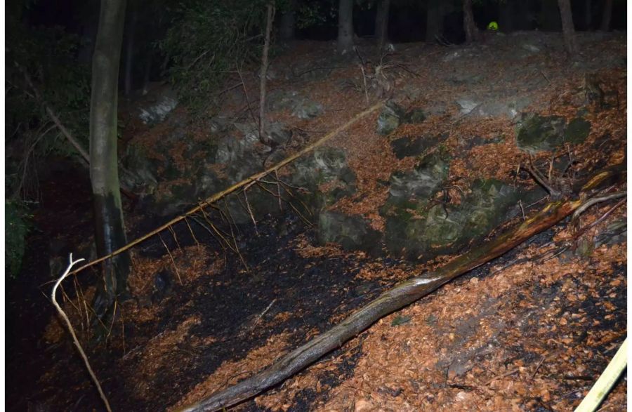 Durch den brennenden Baum wurde der trockene Waldboden verkohlt.