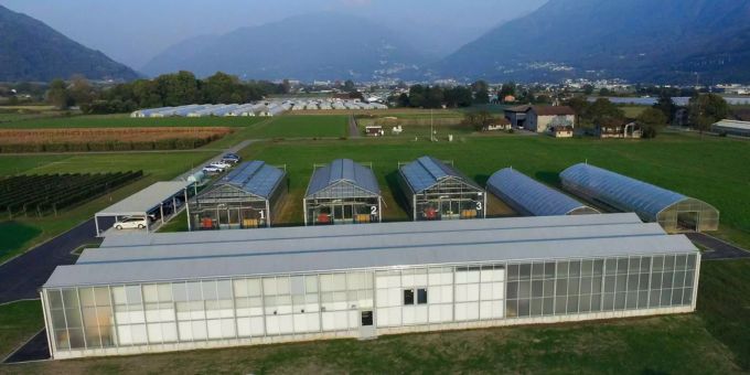 Zum zehnjährigen Jubiläum der Saatgutbank hat die Forschungsanstalt Agroscope erstmals Heil- und Aromapflanzen eingelagert. Zum zehnjährigen Jubiläum der Saatgutbank hat die Forschungsanstalt Agroscope erstmals Heil- und Aromapflanzen eingelagert.
