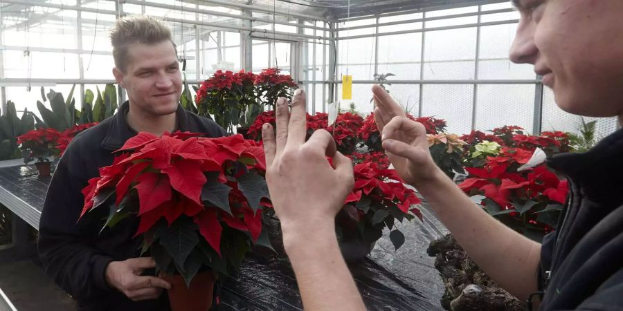 Trotz Behinderungsgleichstellungsgesetz werden Gehörlose bei Arbeit und im öffentlichem Raum weiter diskriminiert.