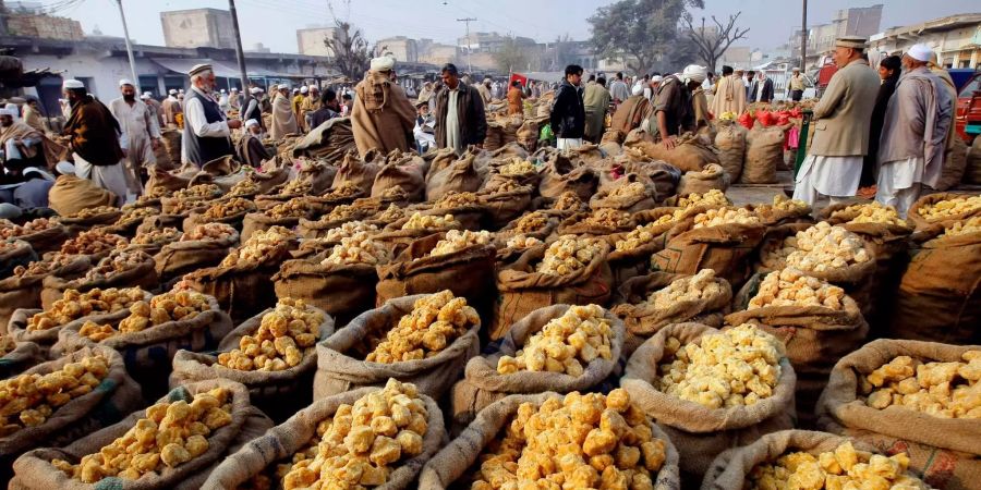 Händler besuchen in Pakistan einen Markt um Jaggery zu kaufen.