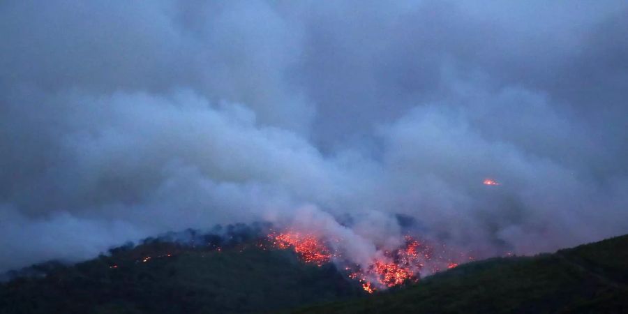 Griechenland Waldbrand