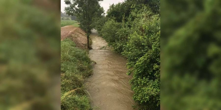 Der Bach in Amriswil führt am Mittwoch viel Wasser.