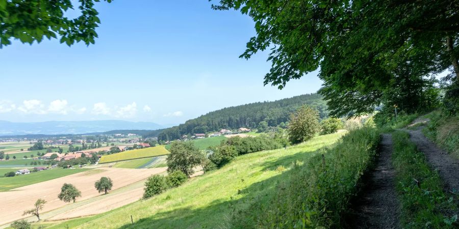 Wanderweg bei Ersigen.