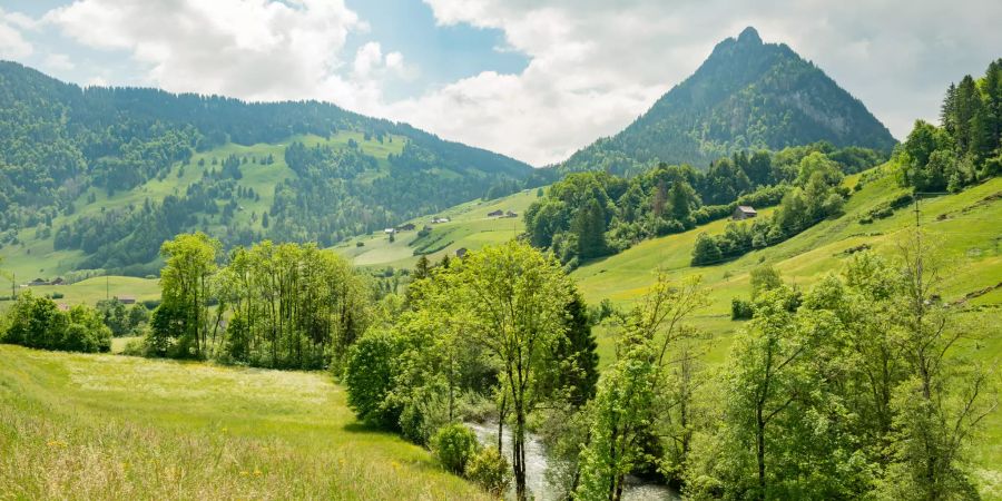 Der Fluss Thur bei Nesslau im Toggenburg.