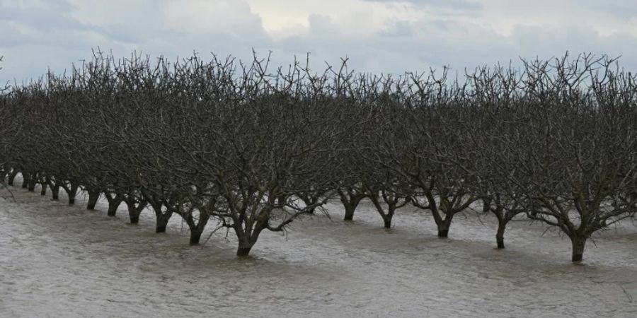 Überflutete Agrarflächen in der Tulare-Region