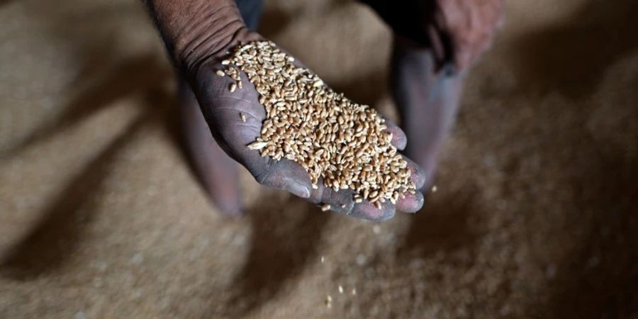 Arbeiter mit Weizenkörnern in einer Mühle in Indien