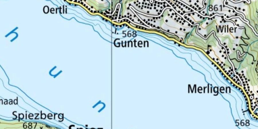 Ein heute 37-jähriger Schweizer muss sich wegen Mordes vor Gericht verantworten. Er soll eine Frau umgebracht und im Thunersee bei Gunten versenkt haben.