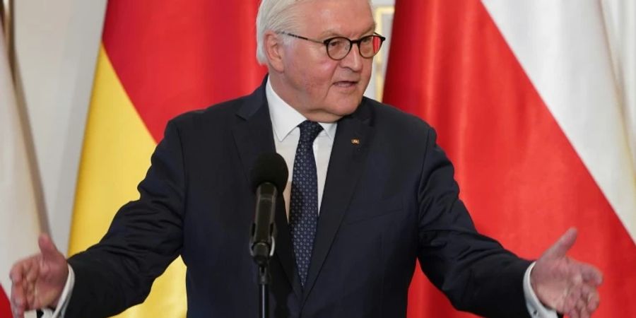 Bundespräsident Steinmeier (Archivfoto)