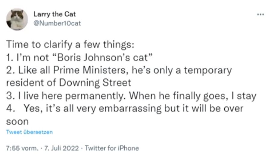 Boris Johnson Cat Twitter