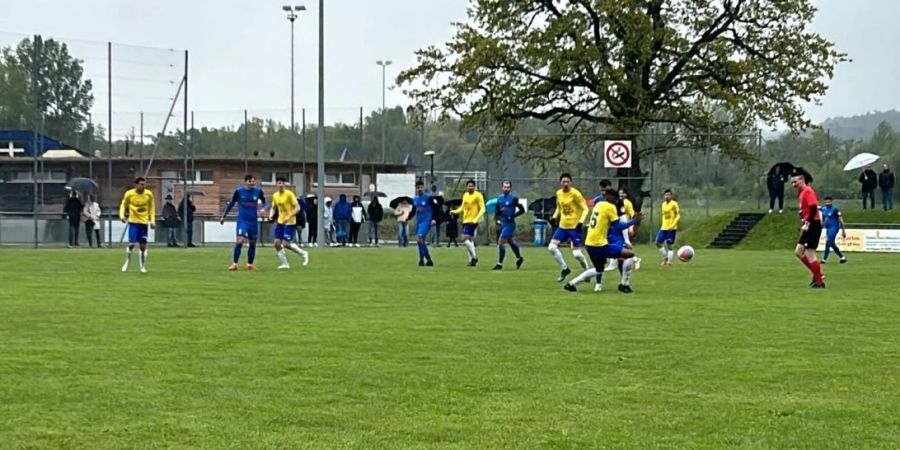 FC Oetwil-Geroldswil