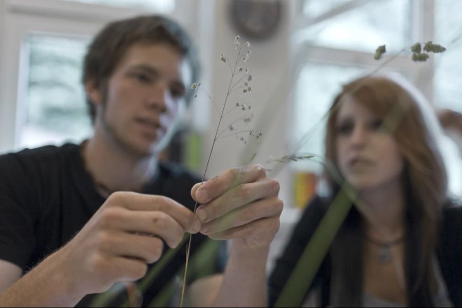 Von etwa 3345 aktuell auszubildenden Bäuerinnen und Bauern haben lediglich 300 einen Schwerpunkt im Bereich Bio gewählt.