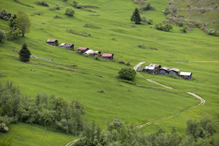 PFAS stecken in vielen Alltagsprodukten – und bauen sich in der Natur kaum ab.