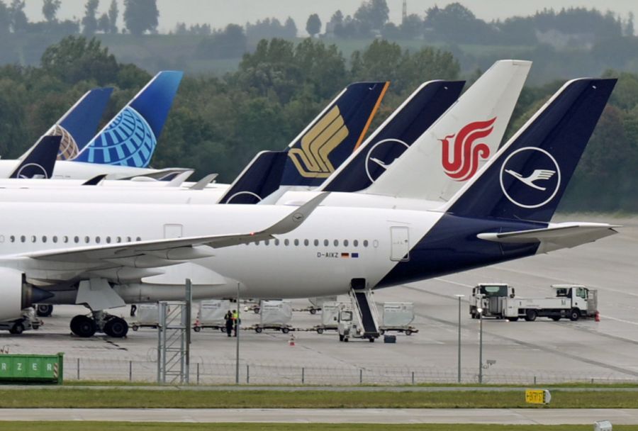 In der Regel gilt: Hunde bis acht Kilo dürfen in der Kabine mitfliegen, grössere müssen in den Frachtraum. (Symbolbild)