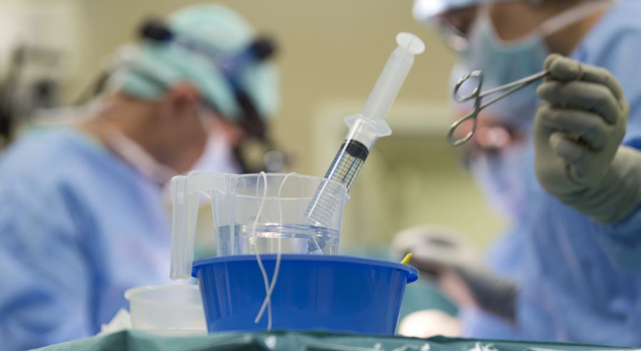 Gina Lisa Lohfink OP