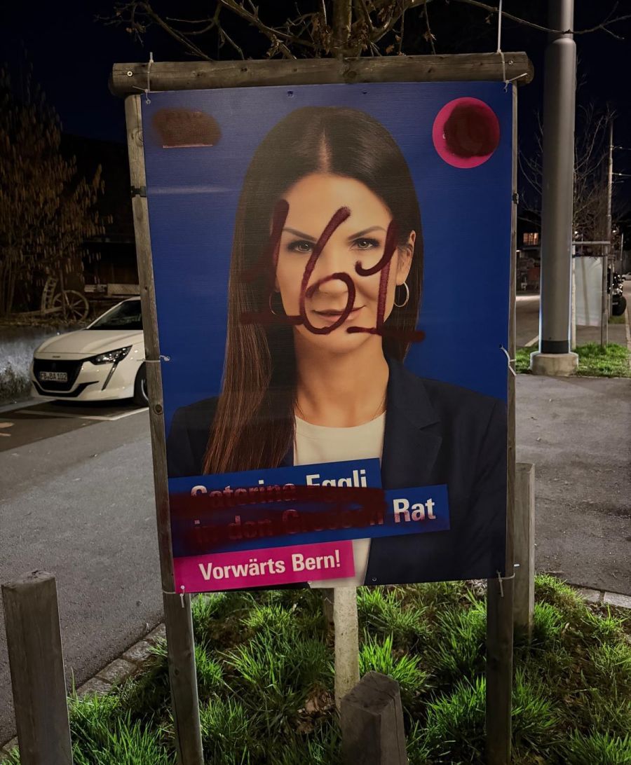 FDP Wahlplakate