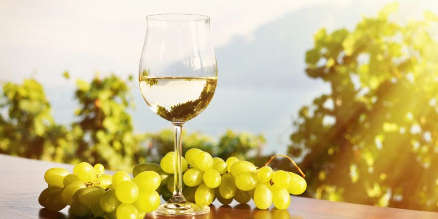 Weisswein Trauben Glas Ernte