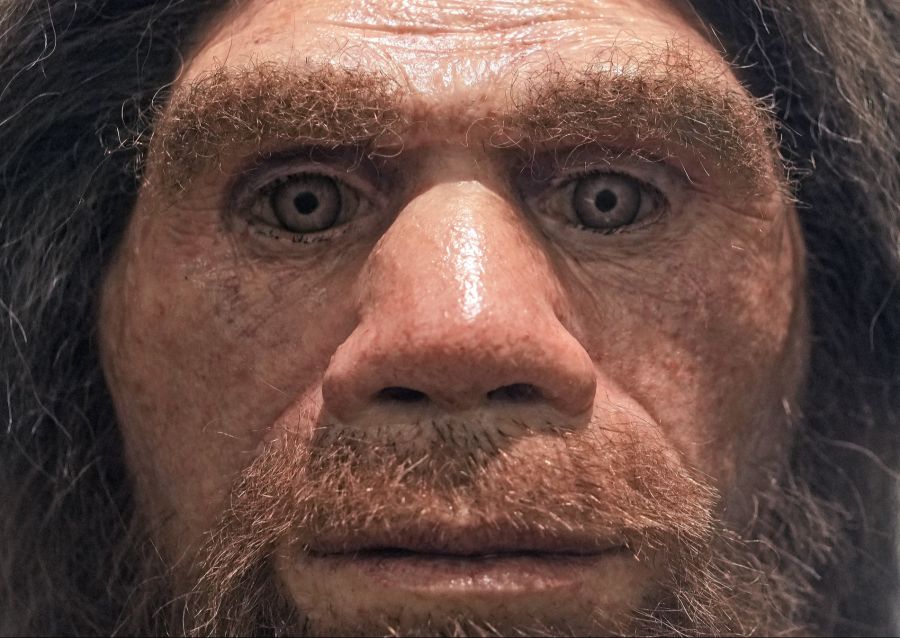 Neandertaler