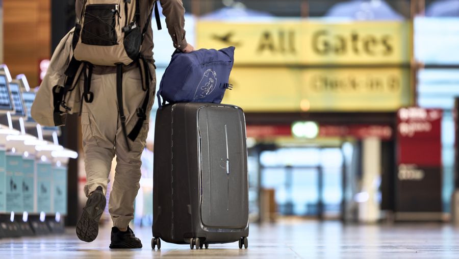 Bisher wurde Dengue nur durch Reisende ins Land importiert – lokal blieb es ruhig.