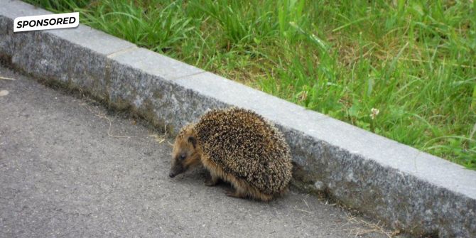 Verein pro Igel