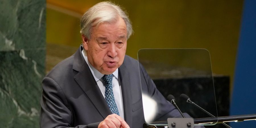 UN General Assembly