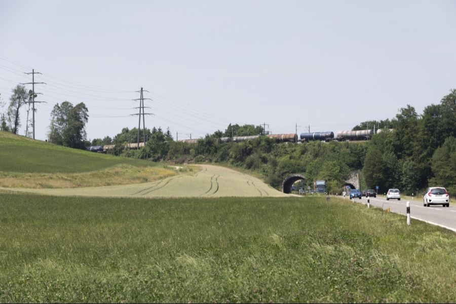 frick unfall svp-richter