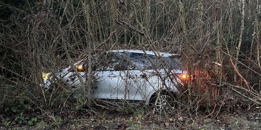 Selbstunfall oberhofen