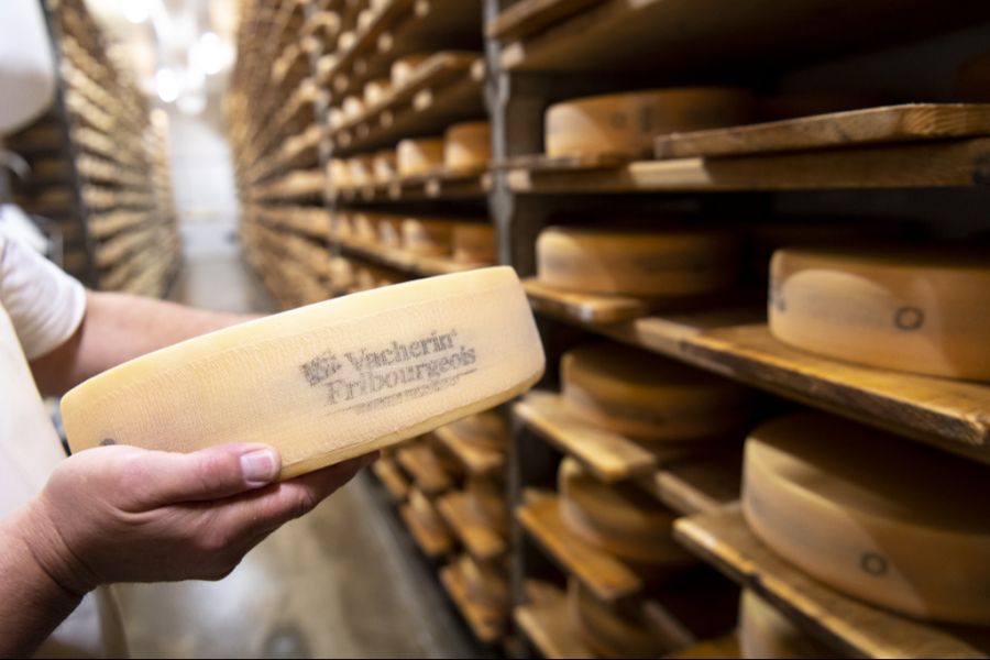 Freiburger Vacherin AOP