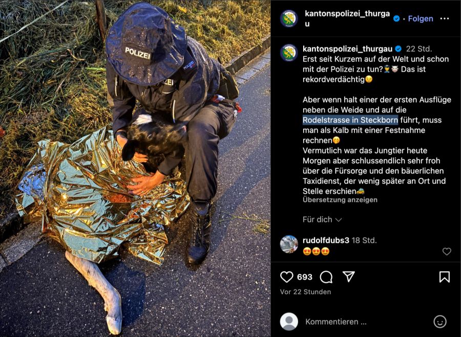 Kalb mit der Polizei