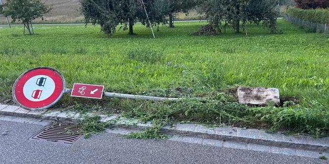 Triboltingen Unfall