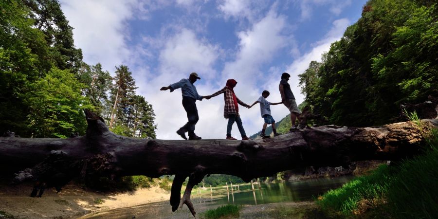 Familie balanciert auf Baumstamm.