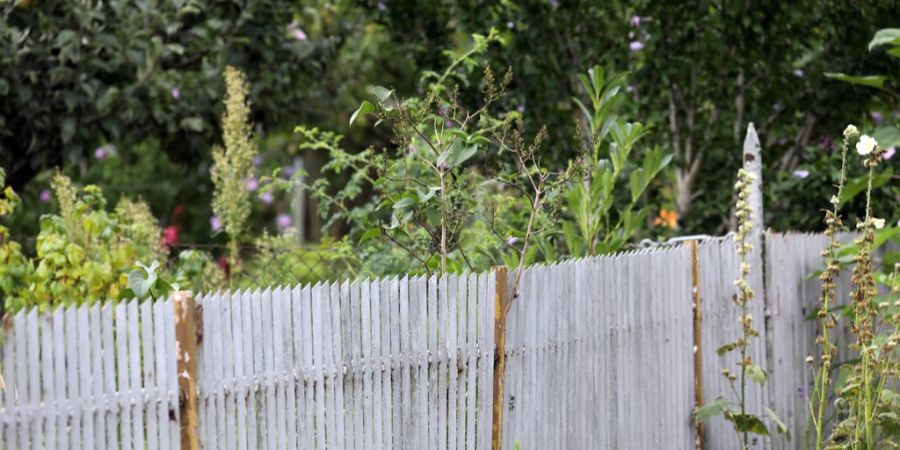 Im Sommer kommt es vermehrt zu Zoff unter Nachbarn. Dieser findet nicht selten über den Gartenzaun hinweg statt.