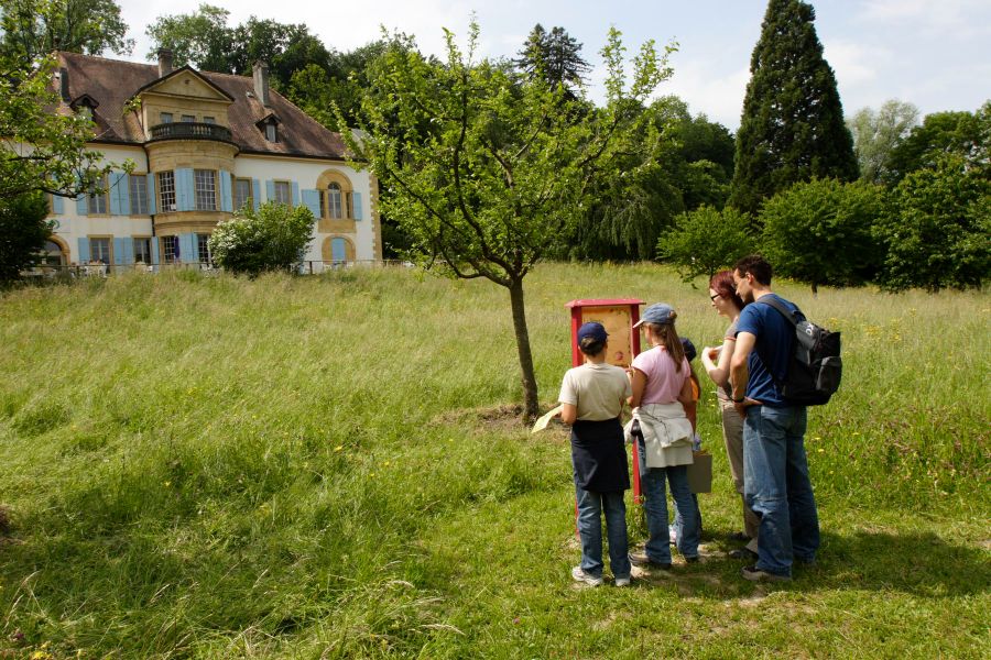Mitten im Moor liegt das Pro Natura Zentrum Champ-Pittet am Neuenburgersee. In und um die historische Villa gibt es Ausstellungen zur Biodiversität und Themengärten. Von hier geniessen Sie einen atemberaubenden Blick über die Grande Cariçaie.