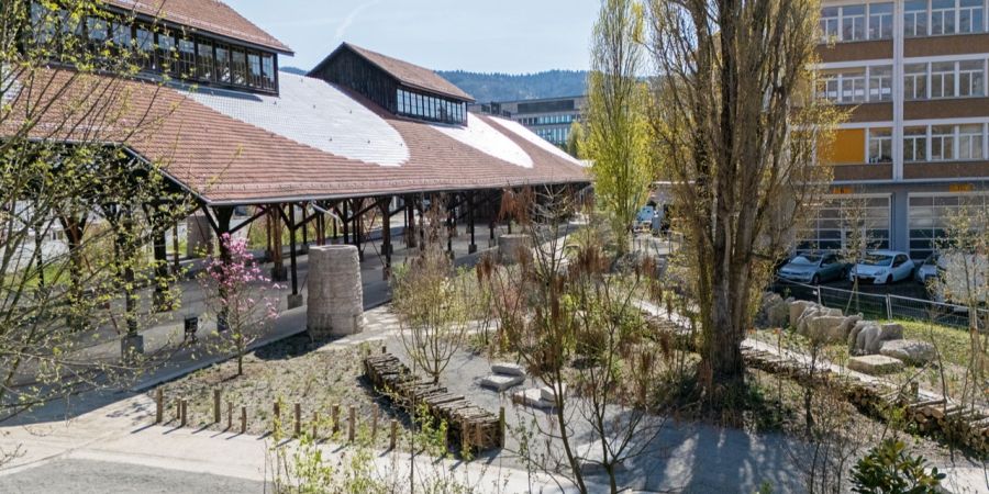Koch-Park Altstetten