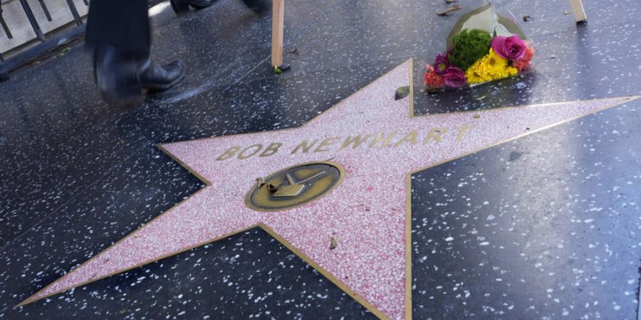 bob newhart