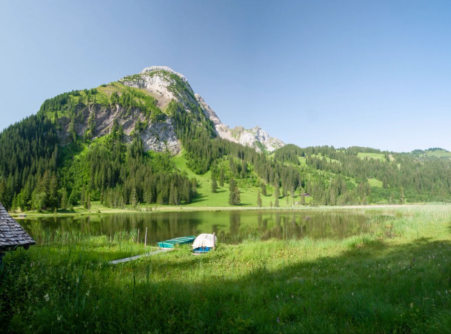 Lauenensee Berner Oberland